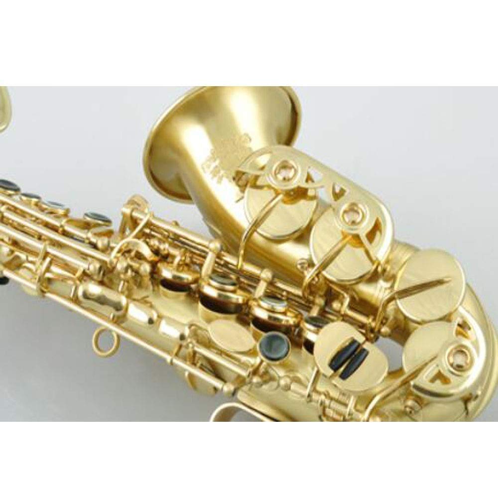 ゴールド アルトサックス ケース付き ゴールド アルトサックス ケース付き Amazon.co.jp: サックス